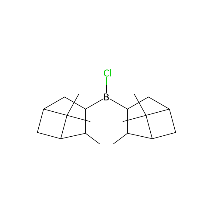 Bcl-2 Family
