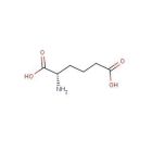L-α-Aminoadipic acid