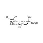 N-Acetylneuraminic acid